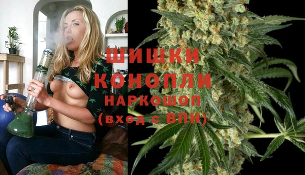 твердый Мегион