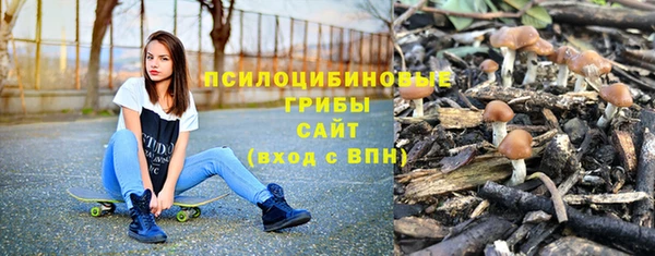 гидропоника Абаза