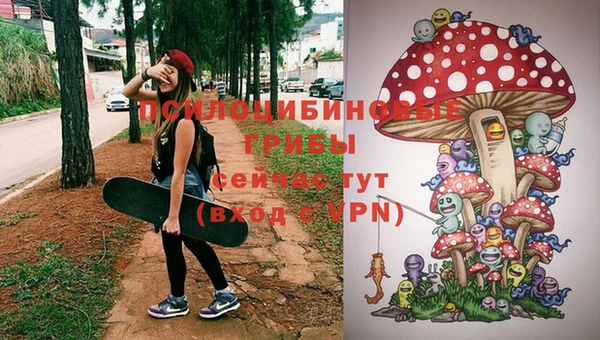 синтетический гашиш Архангельск