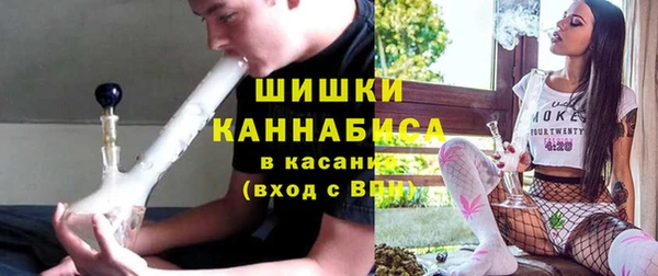 твердый Мегион