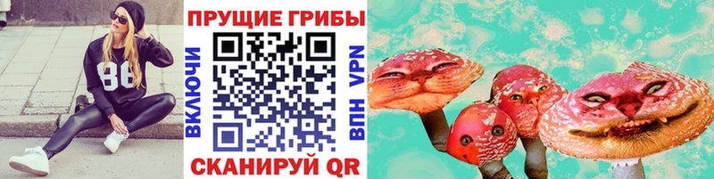 Псилоцибиновые грибы Magic Shrooms  купить закладку  Яхрома 